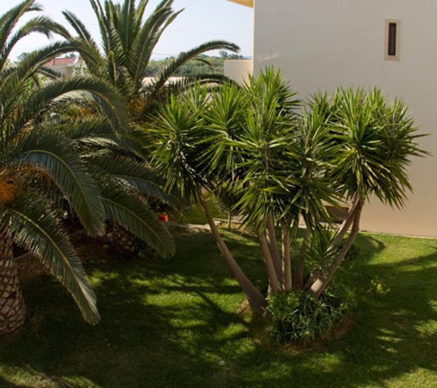 Olga Suites Maleme Buitenkant foto